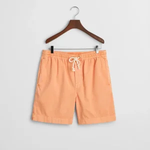 REG SUNFADED DS SHORTS