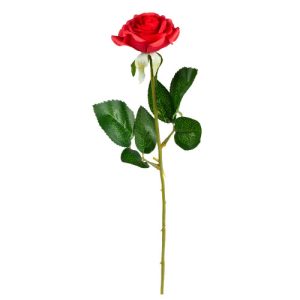 Rød rose-stoff